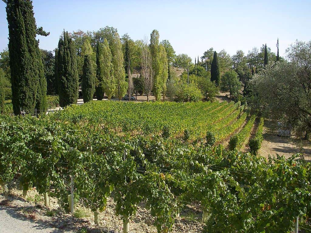 Sophisticated Exploration In South Of France Indulging In Fine Wine Tours And Tastings On The French Riviera